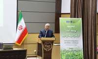 حذف آیش ضامن ارتقای بهره وری و حفظ خاک در دیمزارها است